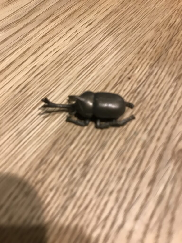 カブトムシのいる生活　4